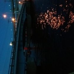 バチ抜けのつもりがキビレ